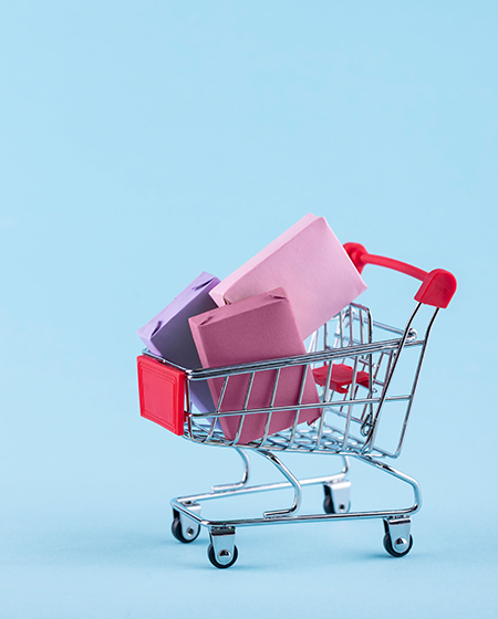 Ecommerce development